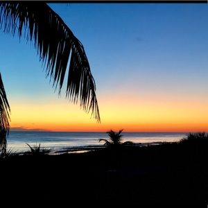 Meet your Posher, Brandi